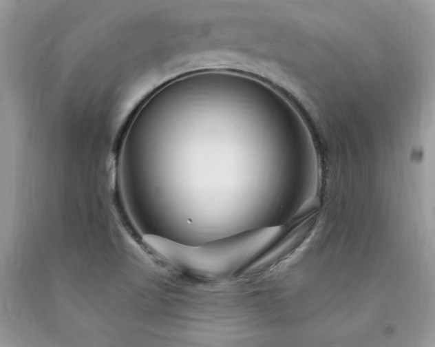 X0000094171509200710261057