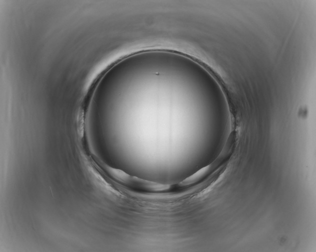 X0000094171510200710261057