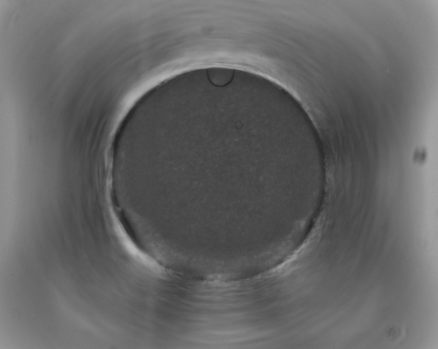X0000094171515200710261057