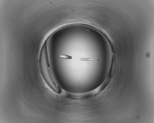 X0000094171516200710261057