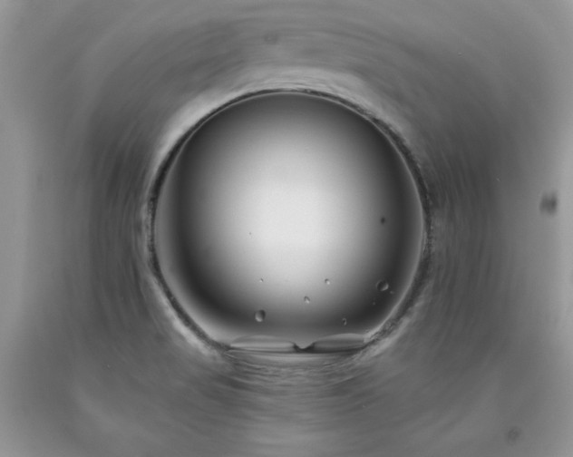 X0000094171517200710261057