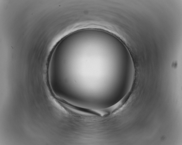 X0000094171518200710261057