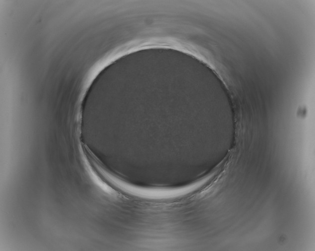 X0000094171519200710261057