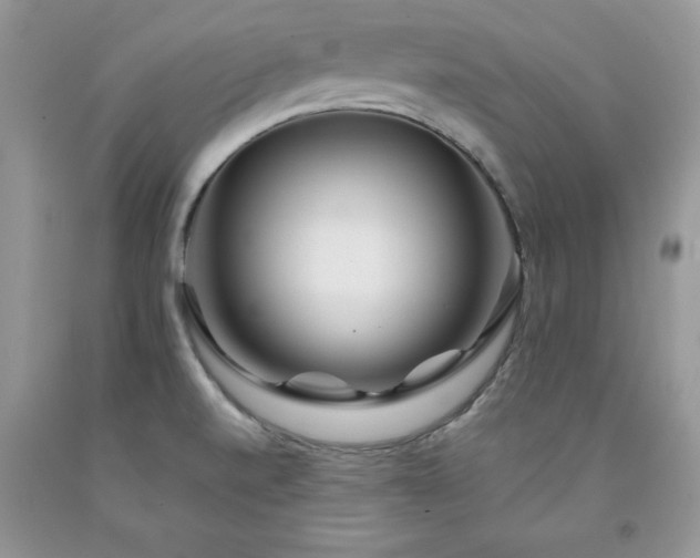 X0000094171520200710261057