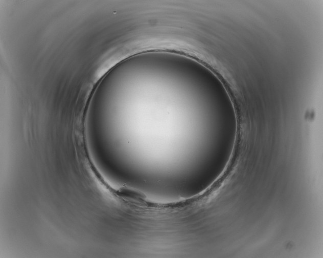 X0000094171521200710261057