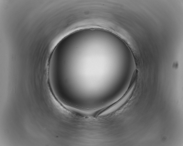 X0000094171524200710261057
