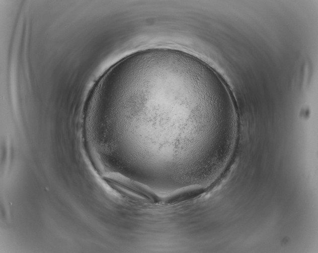 X0000094171525200710261057