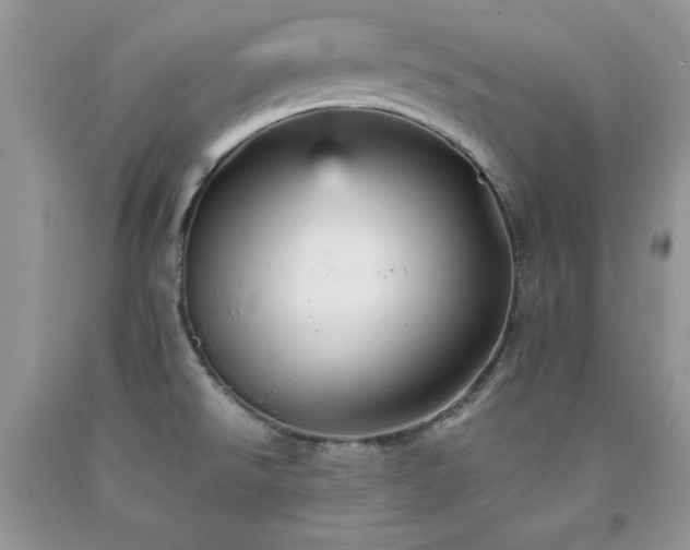 X0000094171526200710261057
