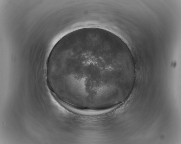 X0000094171527200710261057
