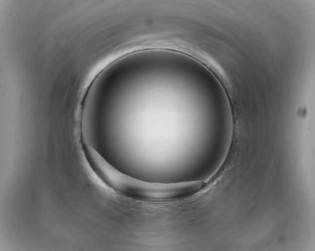 X0000094171528200710261057