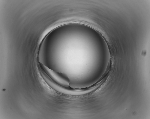 X0000094171530200710261057