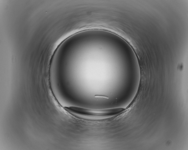 X0000094171534200710261057