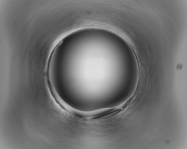 X0000094171536200710261057