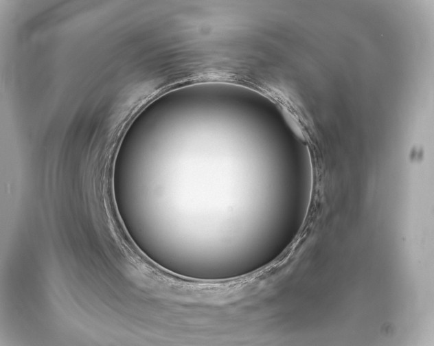 X0000094170001200711020952