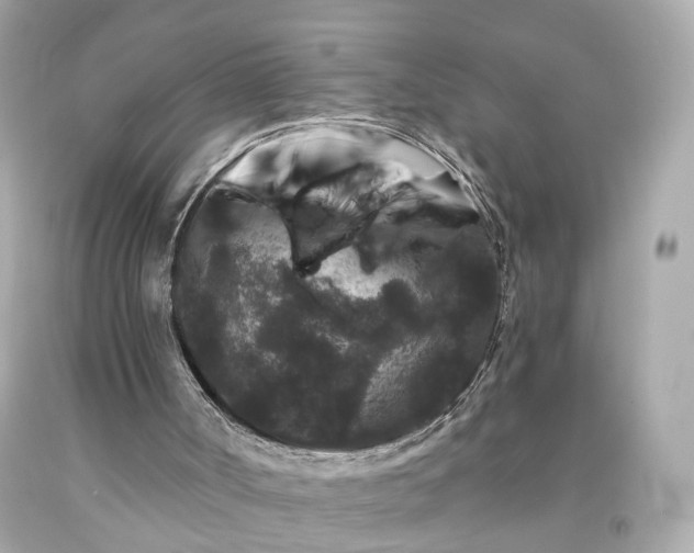 X0000094170002200711020952