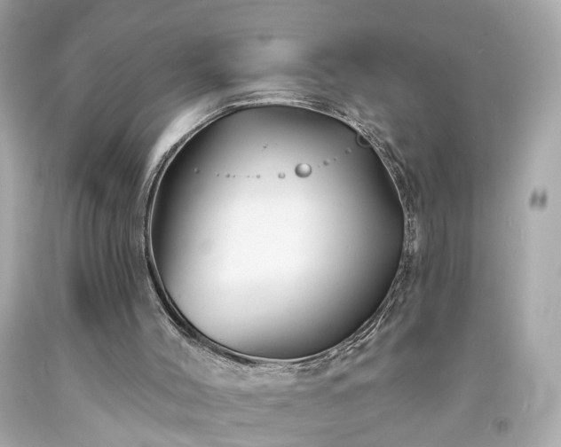 X0000094170004200711020952