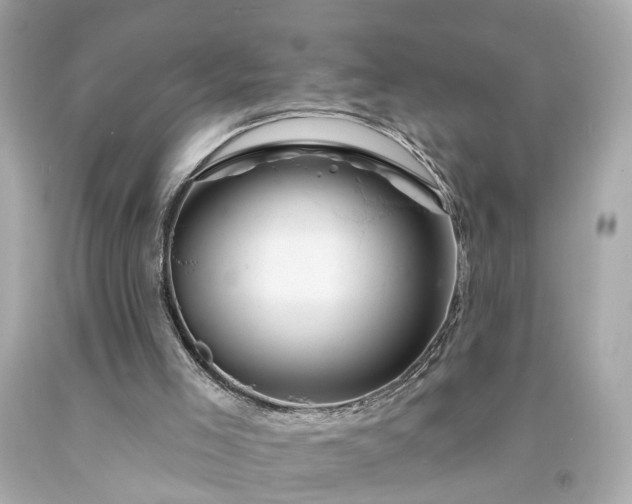 X0000094170005200711020952