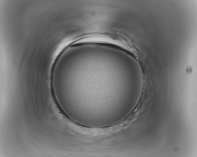 X0000094170006200711020952