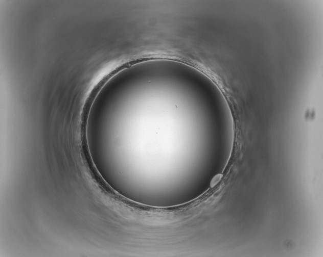X0000094170008200711020952