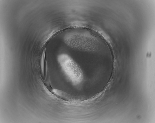 X0000094170009200711020952