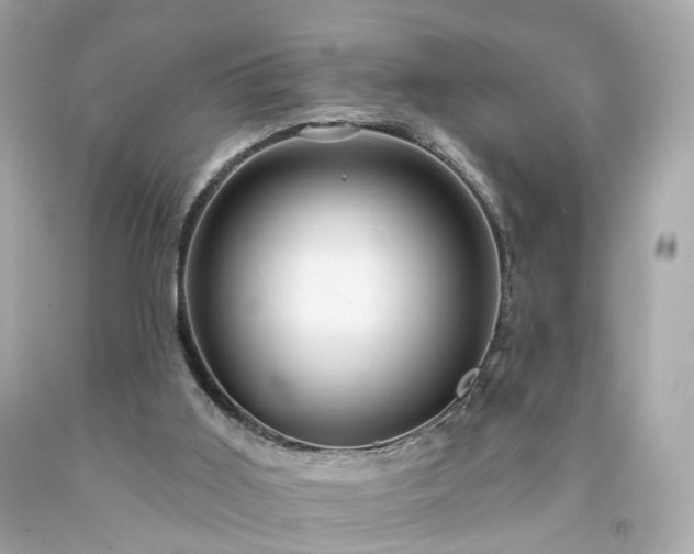 X0000094170011200711020952