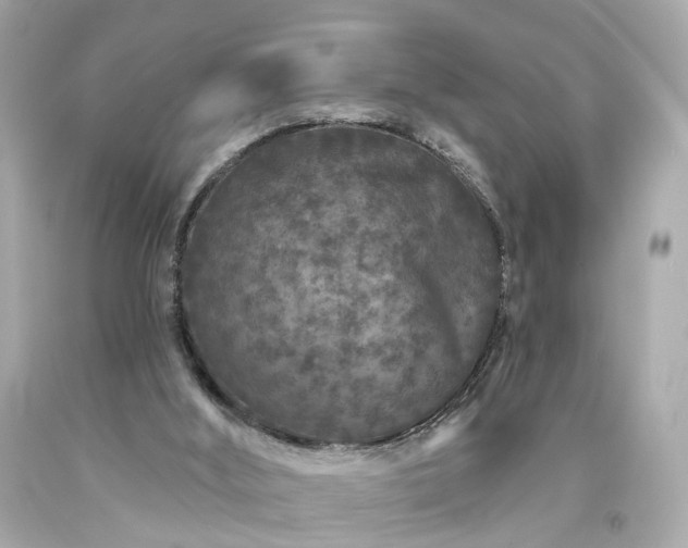 X0000094170012200711020952
