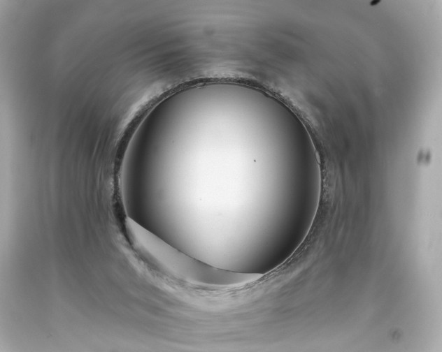 X0000094170015200711020952