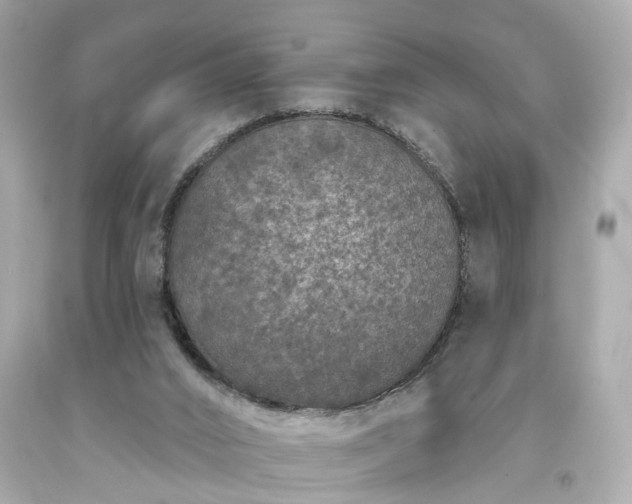 X0000094170016200711020952