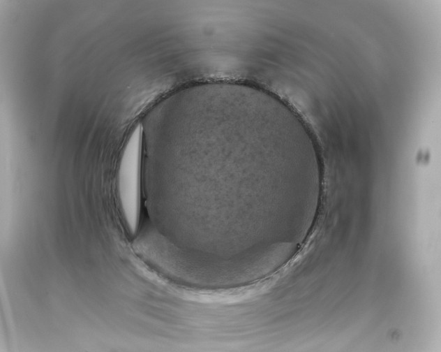X0000094170017200711020952
