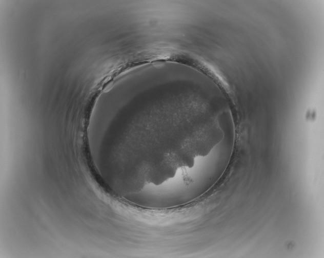 X0000094170018200711020952
