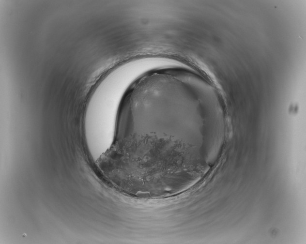 X0000094170019200711020952
