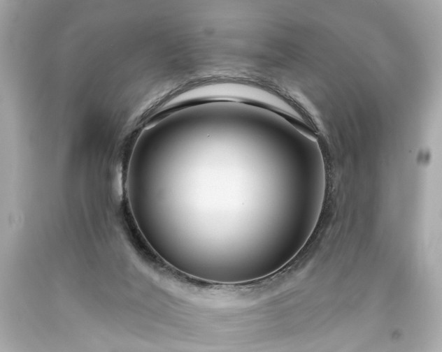 X0000094170020200711020952