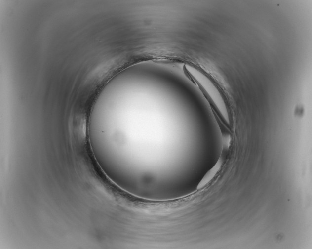 X0000094170021200711020952