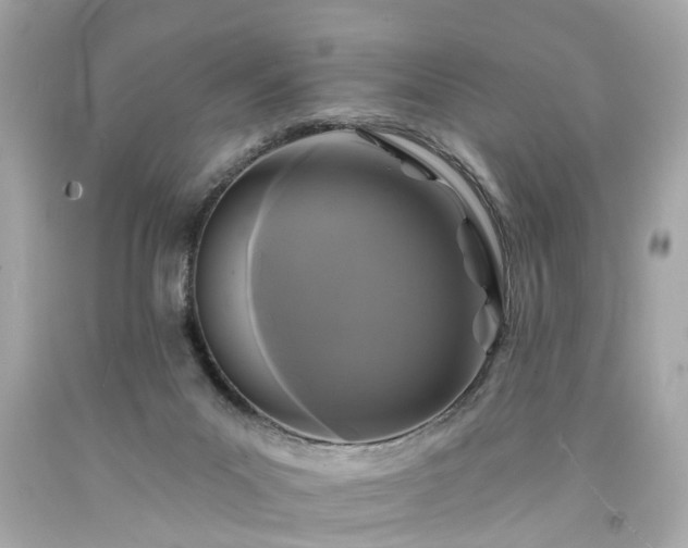 X0000094170023200711020952