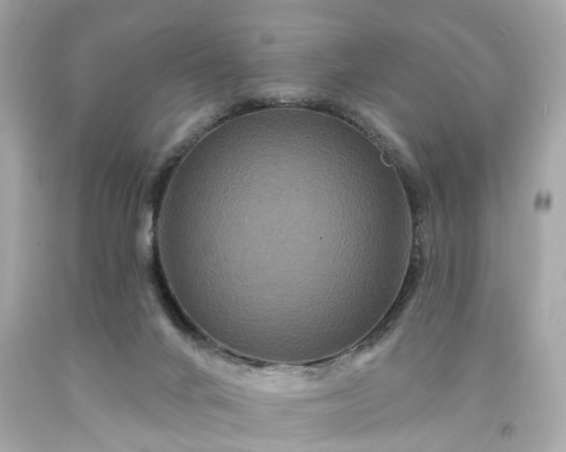 X0000094170024200711020952