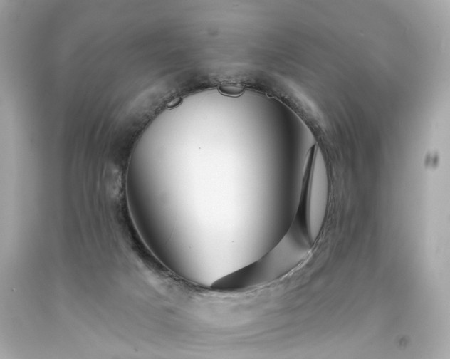 X0000094170025200711020952