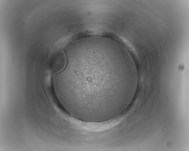 X0000094170026200711020952