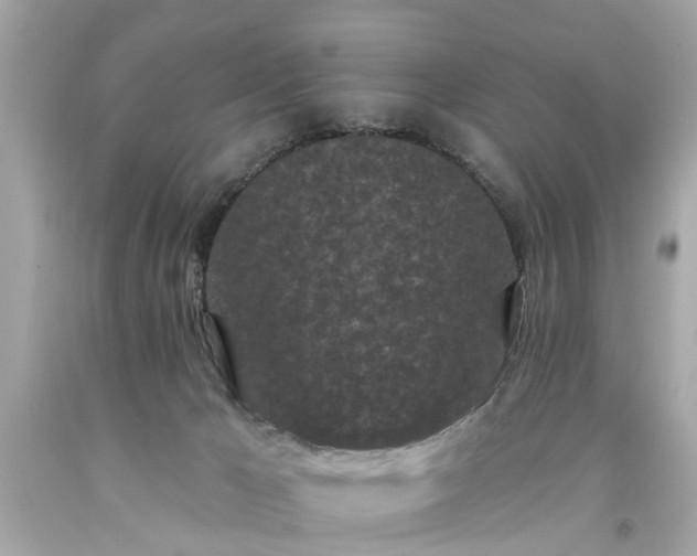 X0000094170029200711020952
