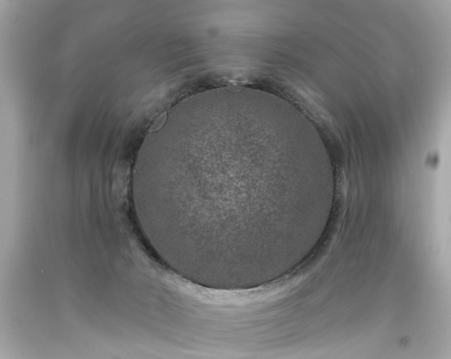 X0000094170030200711020952
