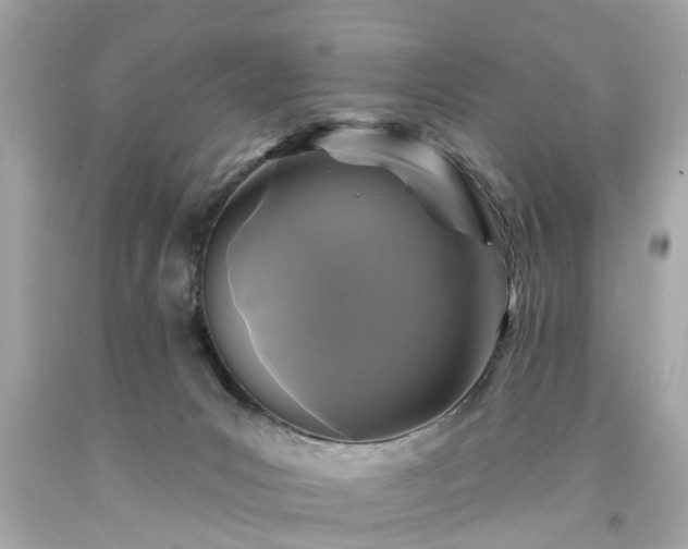 X0000094170031200711020952