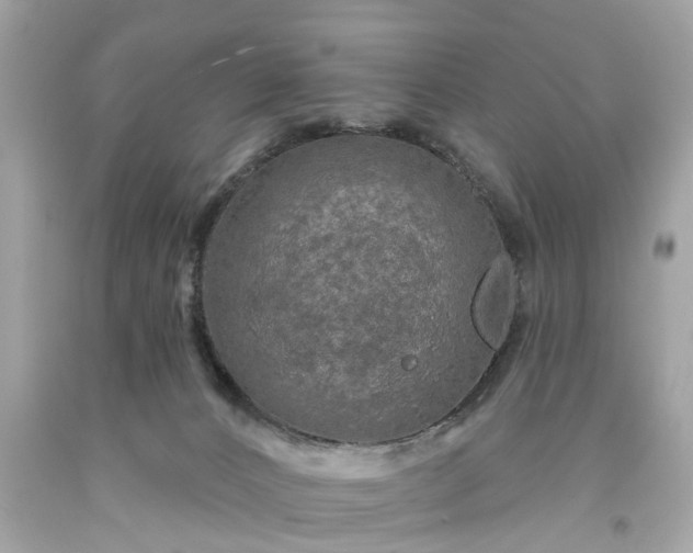 X0000094170032200711020952