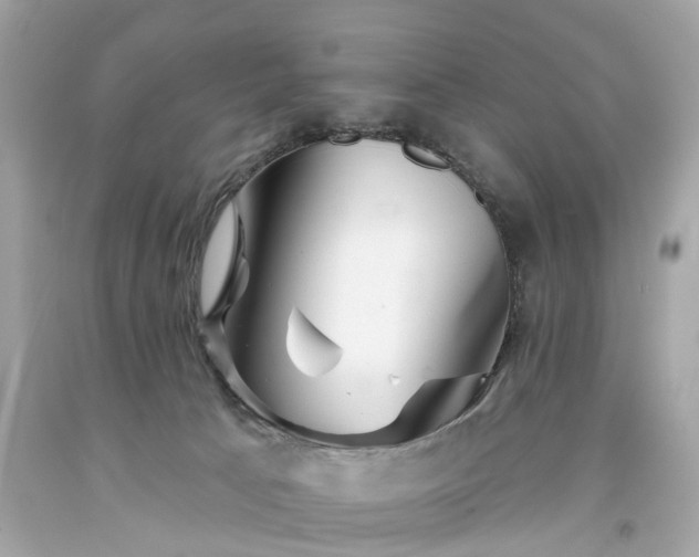 X0000094170033200711020952