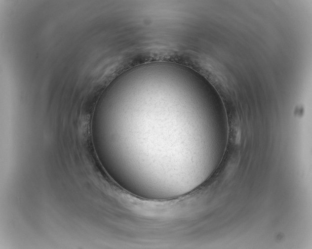 X0000094170034200711020952