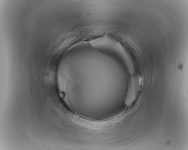 X0000094170035200711020952