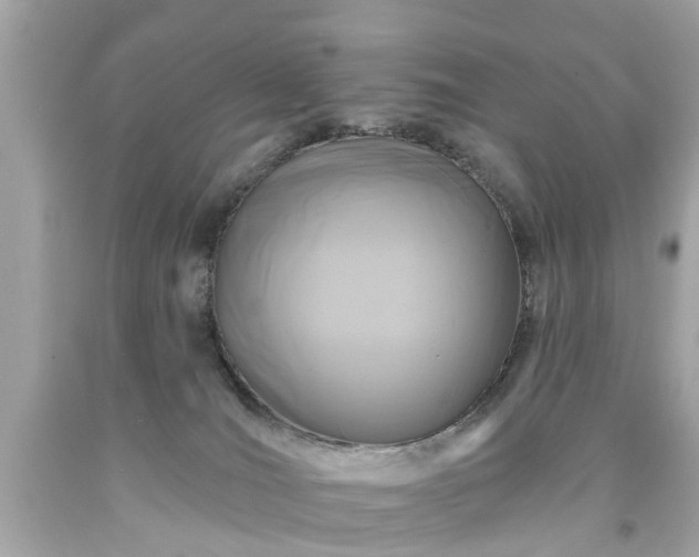 X0000094170036200711020952