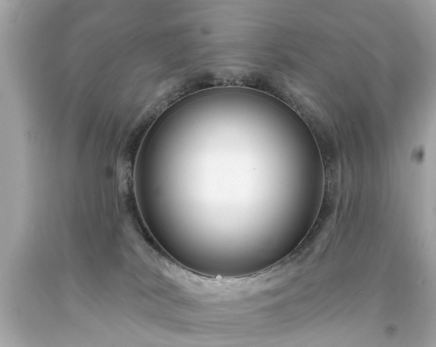 X0000094170038200711020952