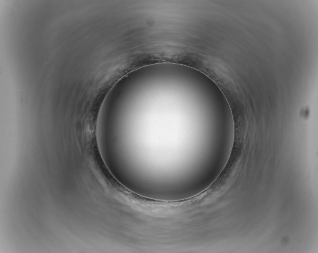X0000094170040200711020951