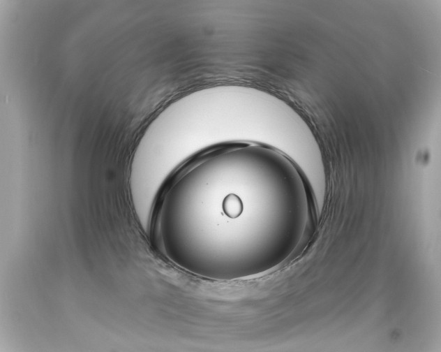 X0000094170041200711020951