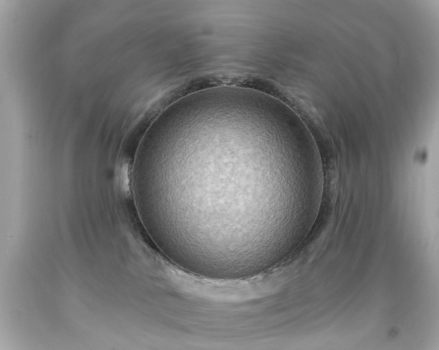 X0000094170042200711020951