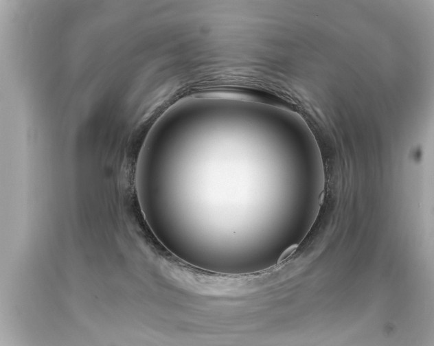 X0000094170044200711020951